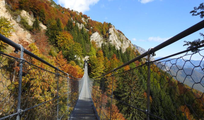 Ponte sospeso Avis